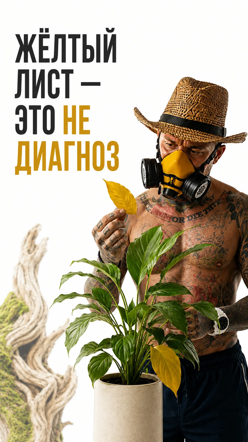 ЖЁЛТЫЙ ЛИСТ — ЭТО НЕ ДИАГНОЗ